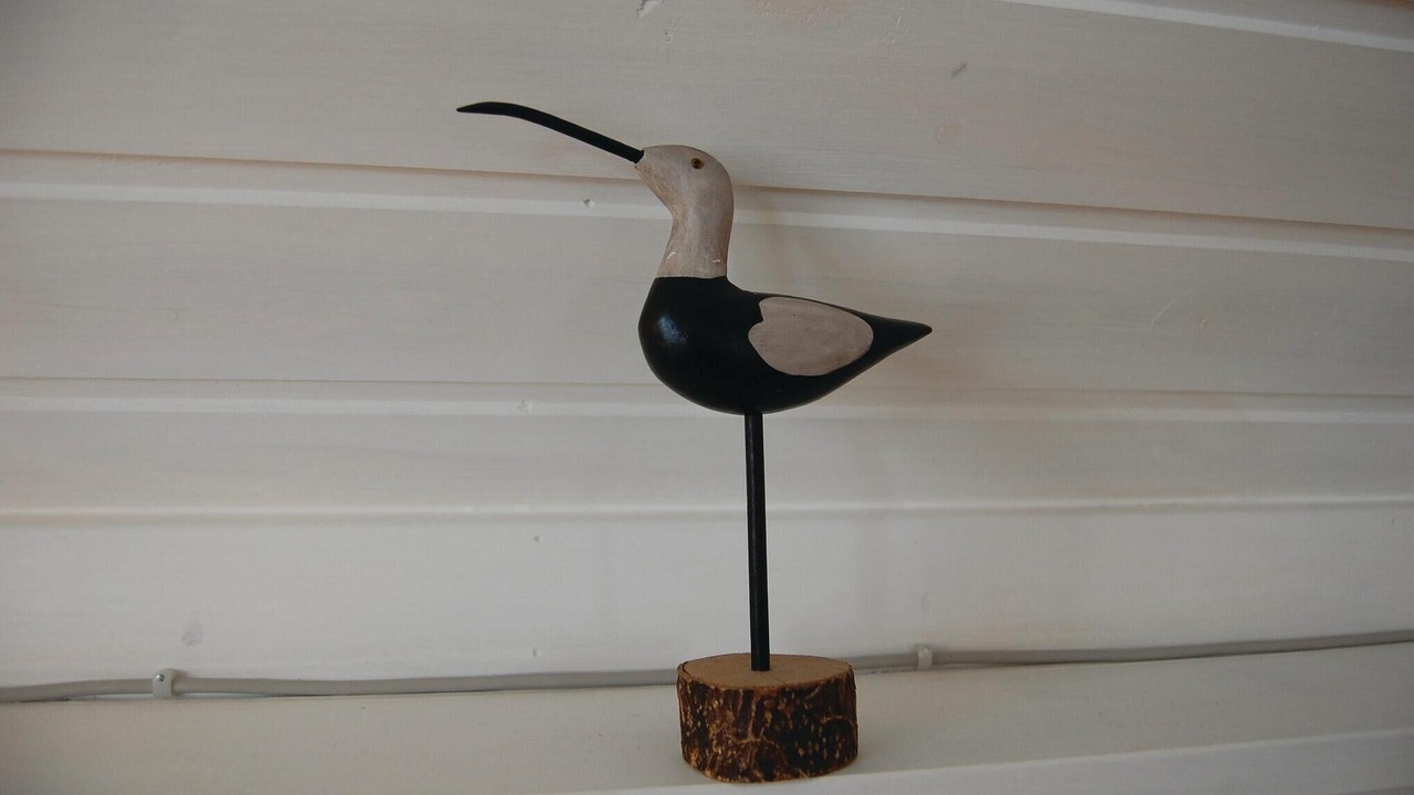 Photo of Others in Hvide Sande