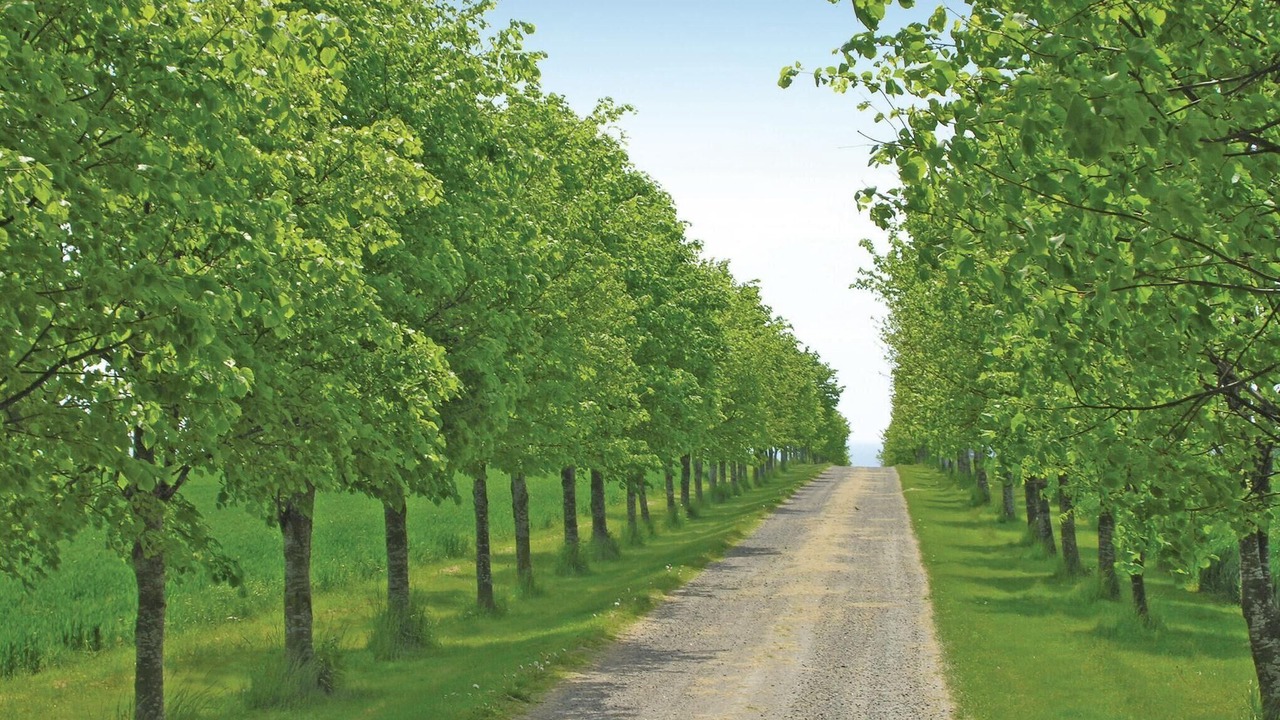 Photo of Others in Akirkeby