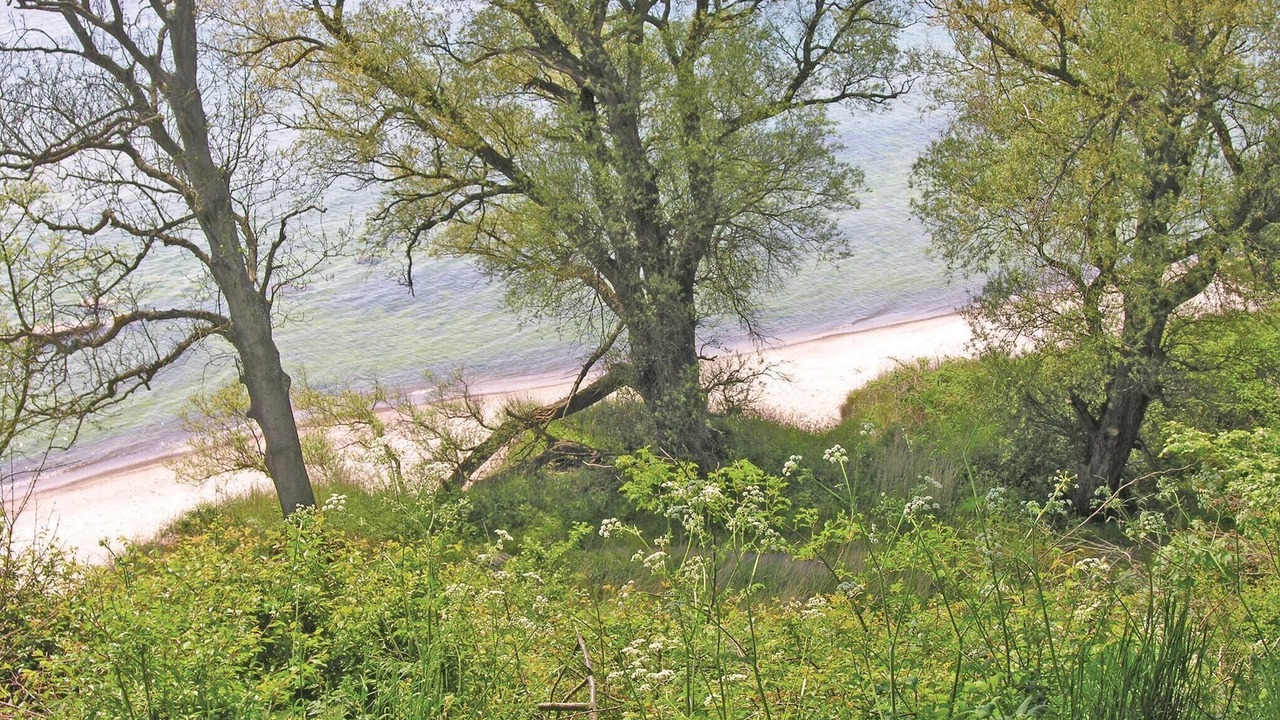 Photo of Others in Akirkeby