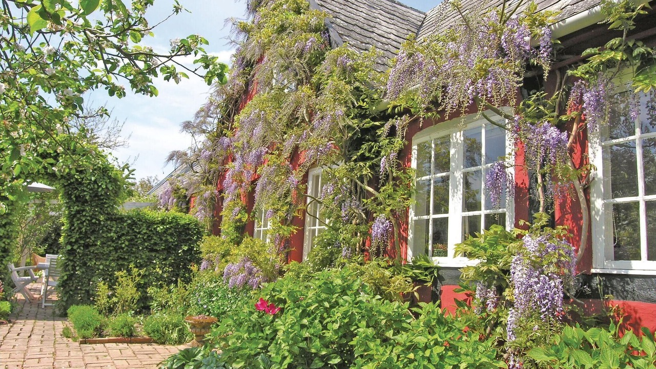 Photo of Others in Akirkeby