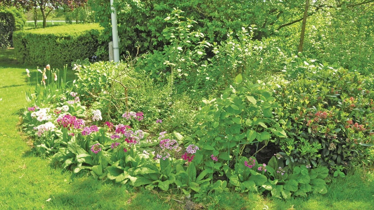 Photo of Others in Akirkeby