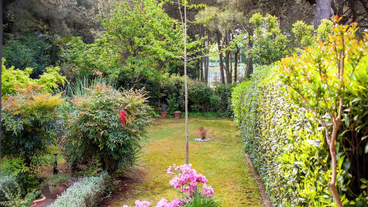 Photo of Outdoor in Rovinj