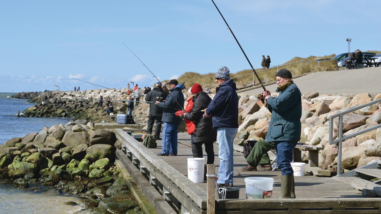 Photo of Others in Nørre Fjand
