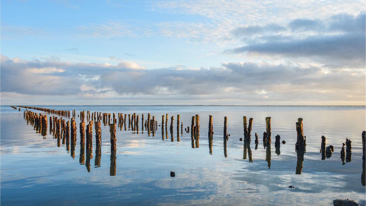 Photo of Others in Sønderstrand