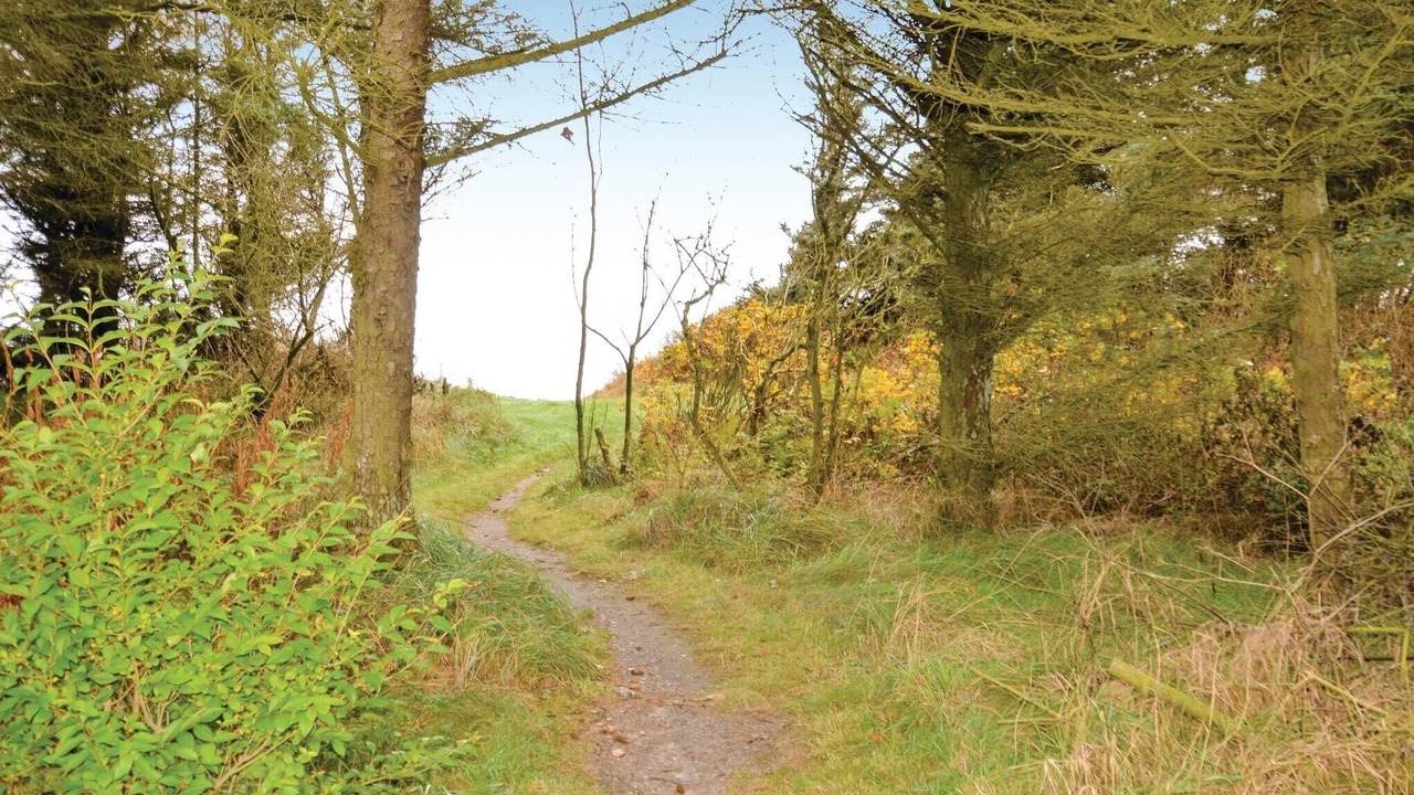 Photo of Outdoor in Spøttrup