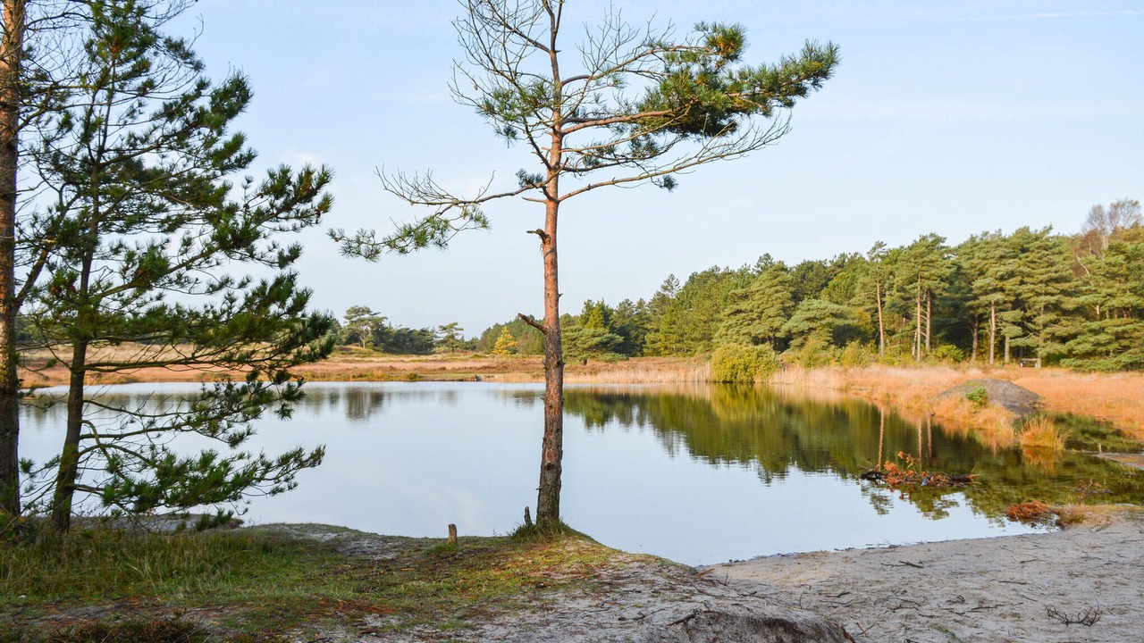 Photo of Others in Kongsmark