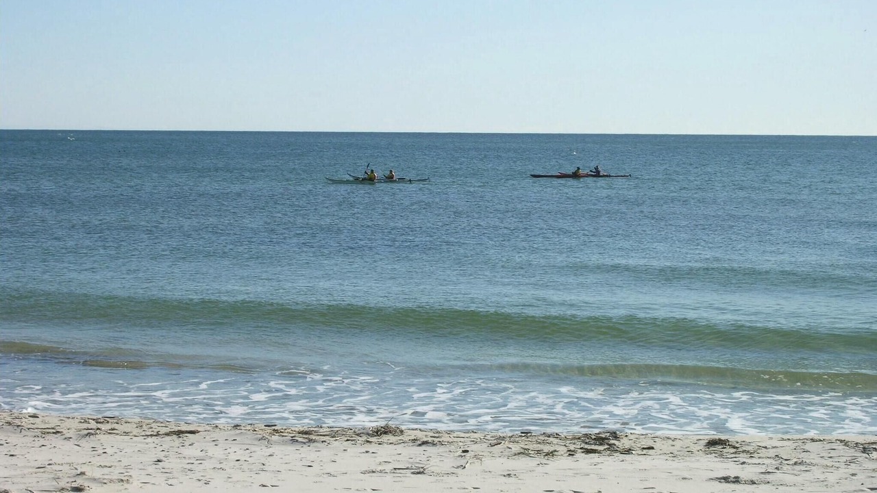 Photo of Others in Bedegaard