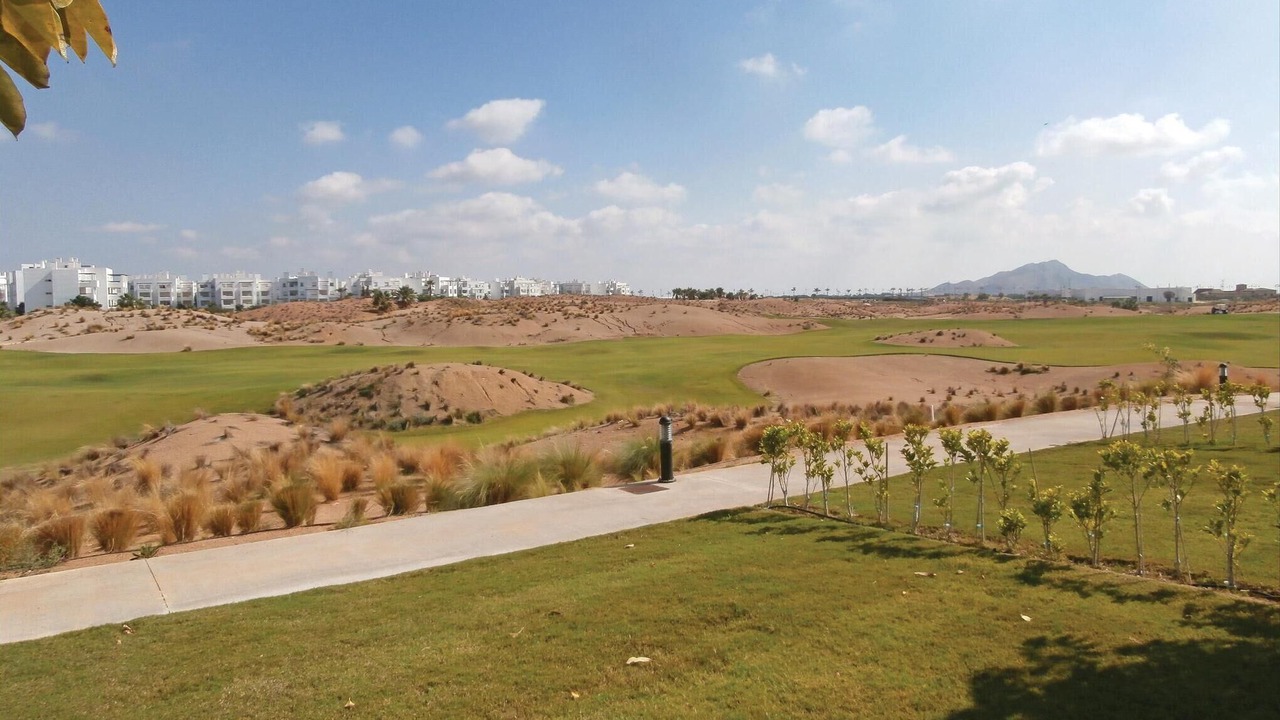 Photo of Others in Torre-Pacheco