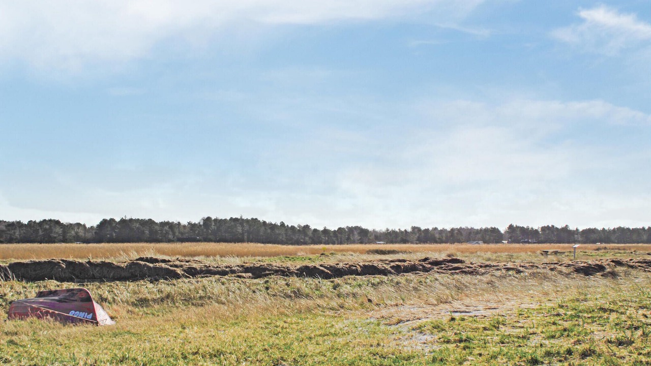 Photo of Others in Hoensinge