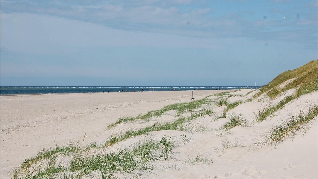 Photo of Others in Blavand Strand