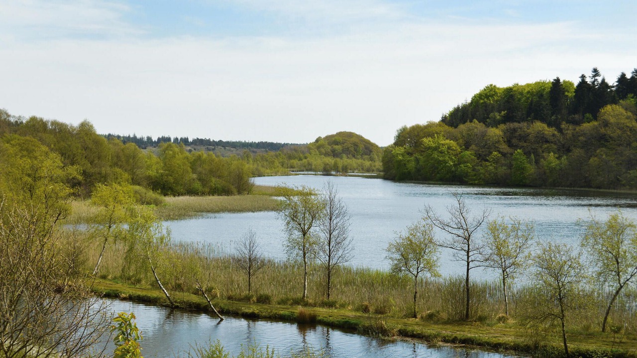 Photo of Others in Krejbjerg