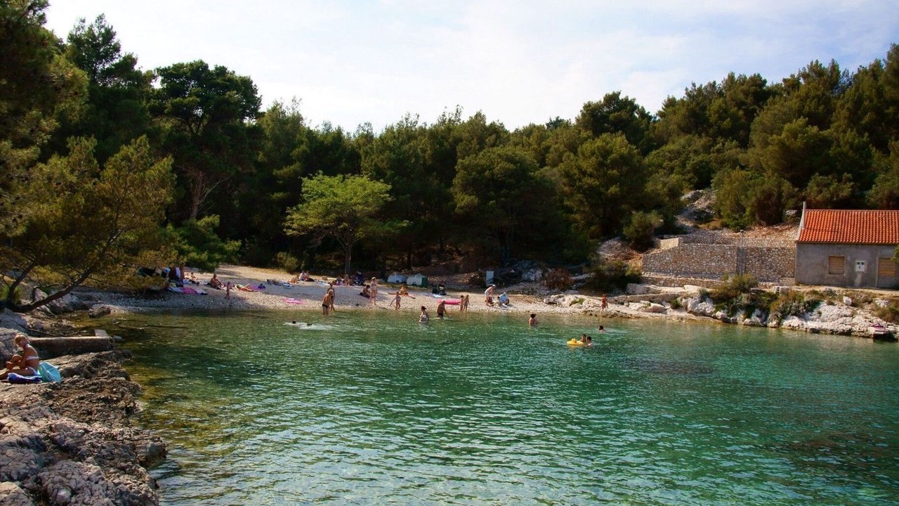 Photo of Others in Cove Murtar