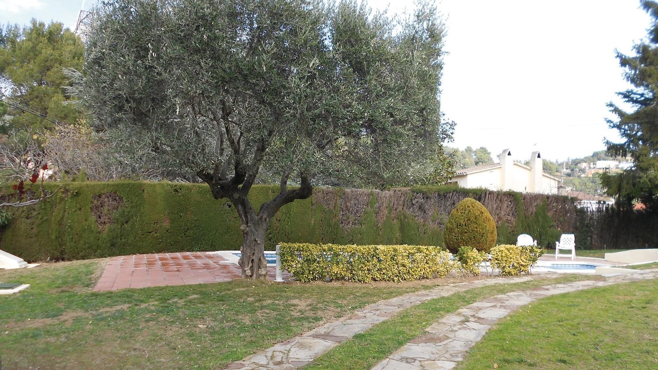 Photo of Outdoor in El Serrat de l'Ametlla