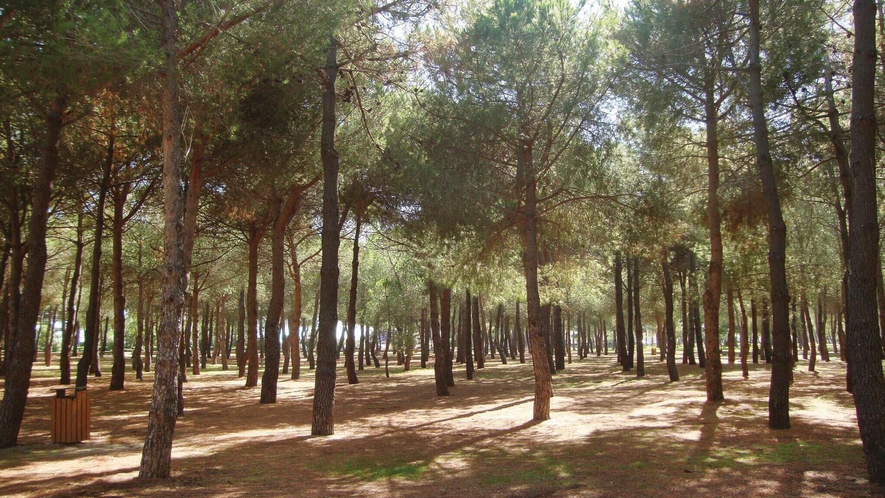 Photo of Others in Argeles Plage