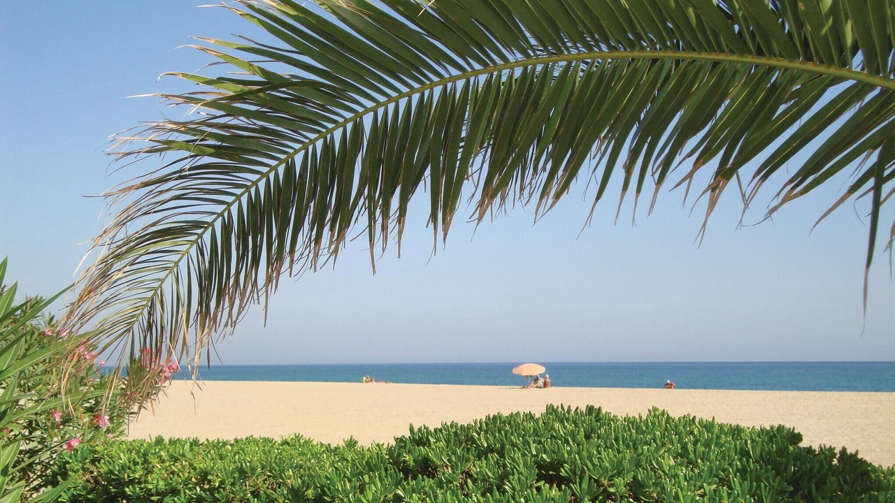 Photo of Others in Argeles Plage