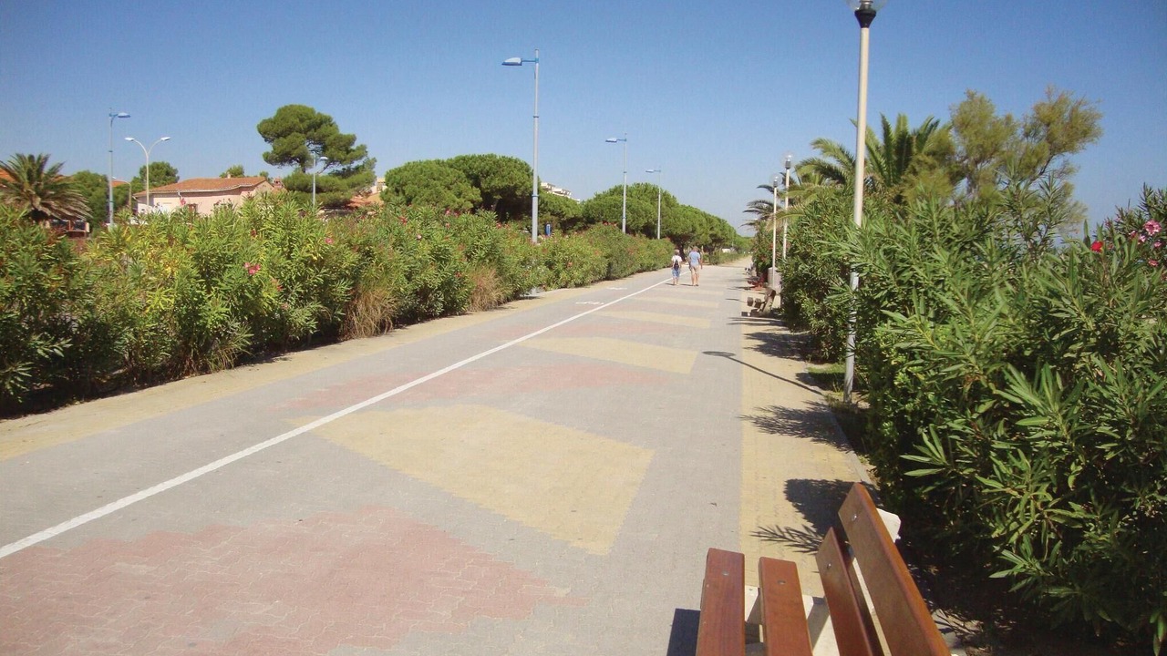 Photo of Others in Argeles Plage