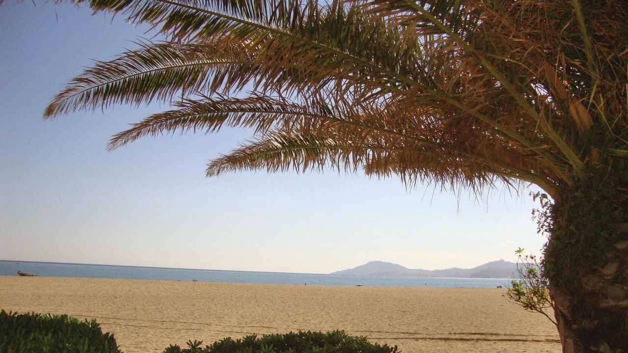 Photo of Others in Argeles Plage