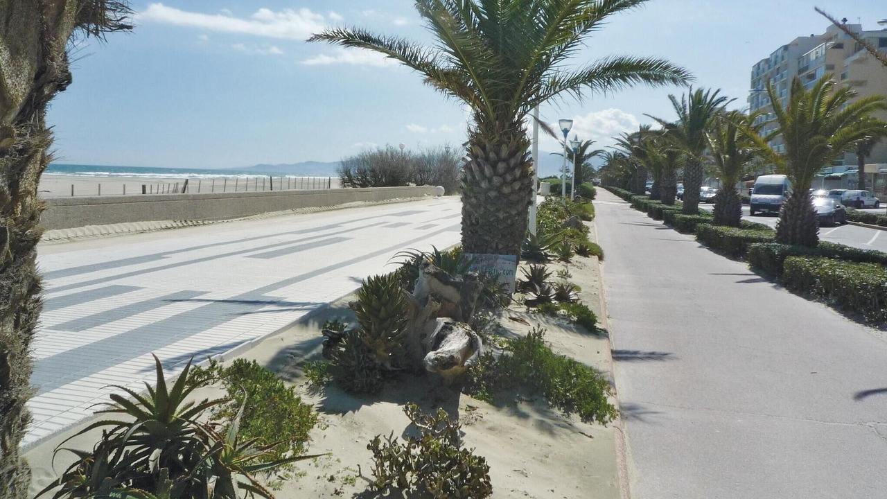 Photo of Others in La Cote Radieuse