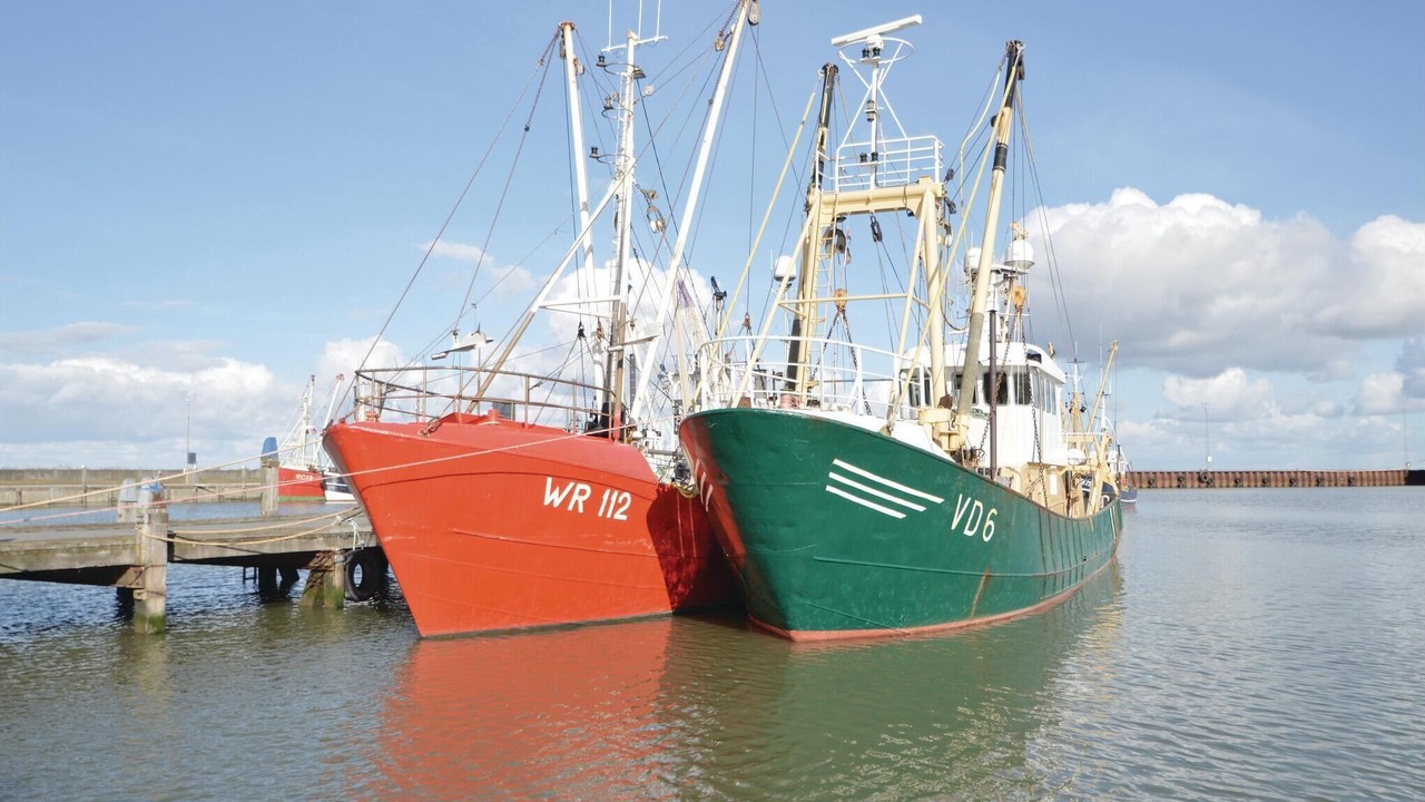 Photo of Others in Kongsmark