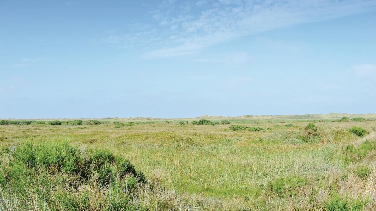 Photo of Others in Kongsmark