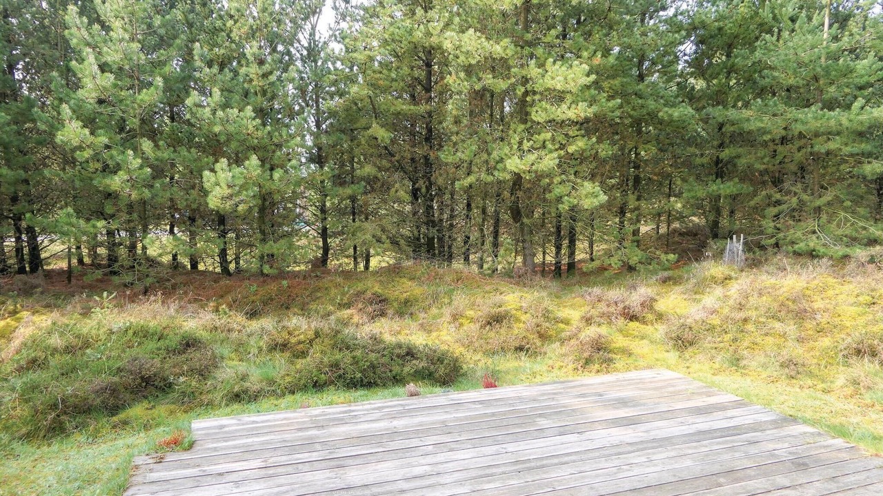 Photo of Others in Kongsmark