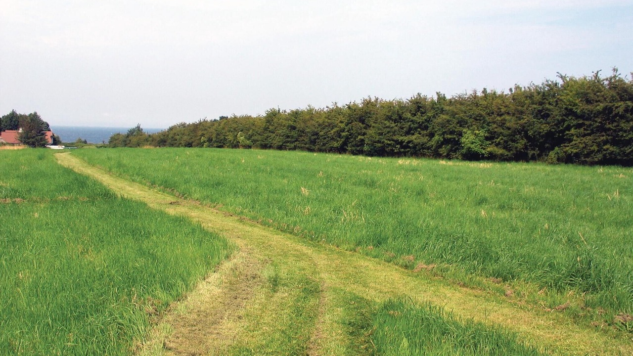 Photo of Bedroom in Vedelshave