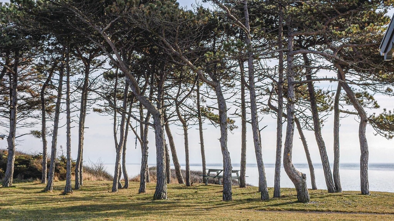 Photo of Others in Knebel