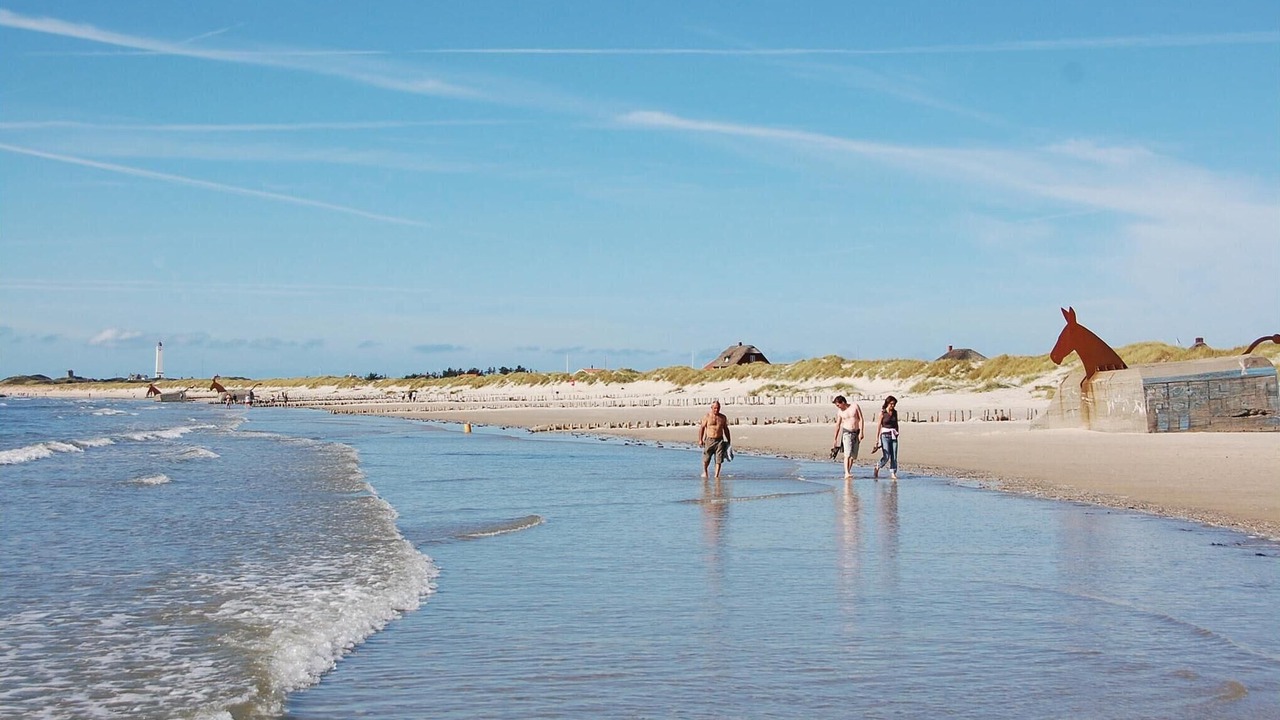 Photo of Others in Blavand Strand
