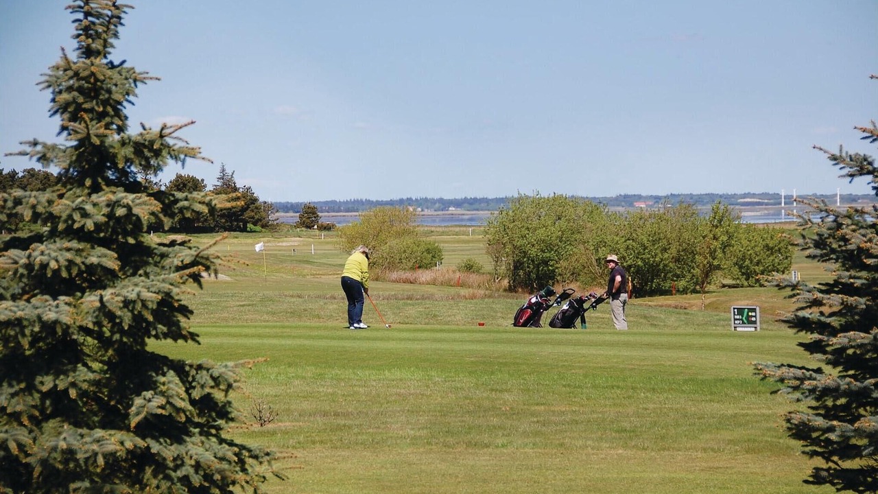 Photo of Others in Blavand Strand