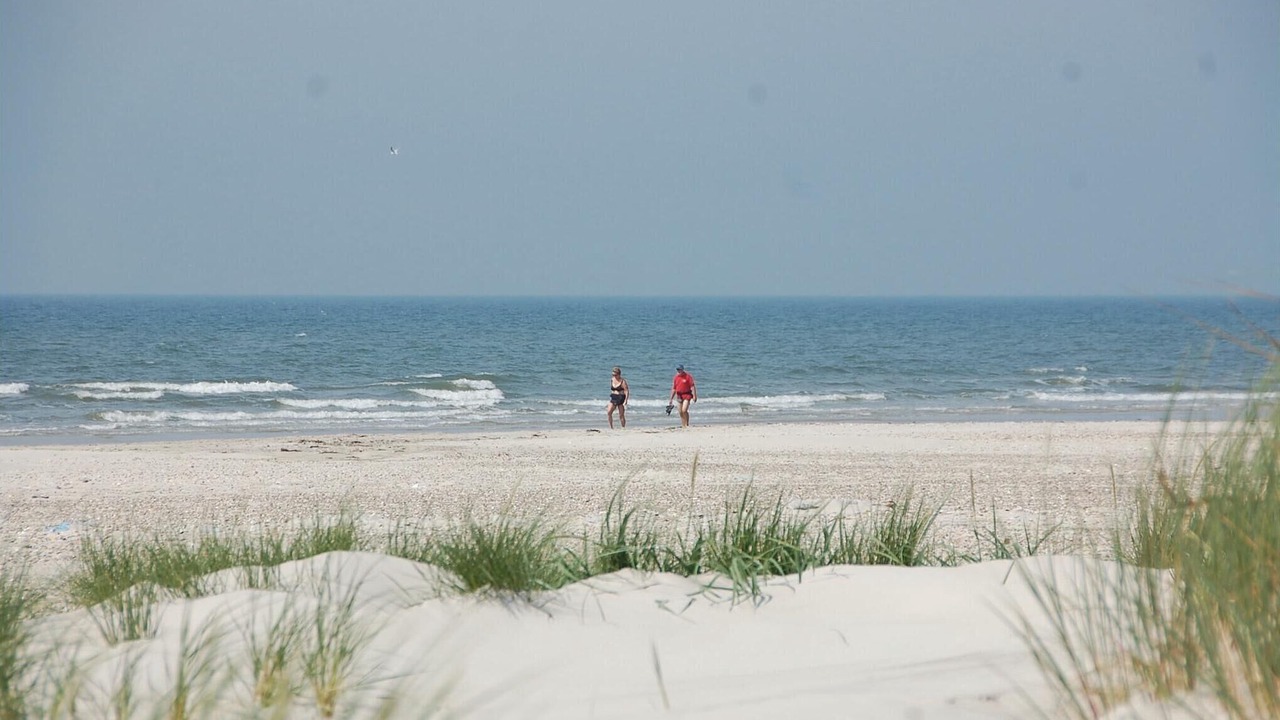 Photo of Others in Blavand Strand