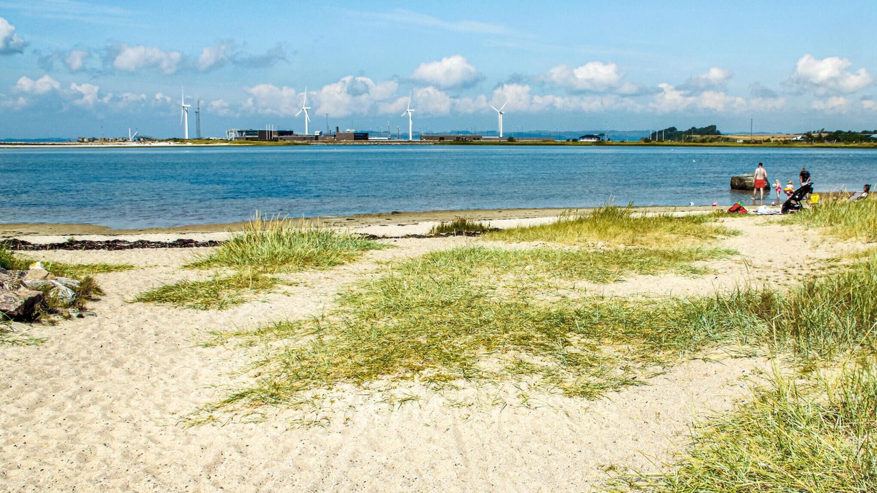 Photo of Others in Øer Strand