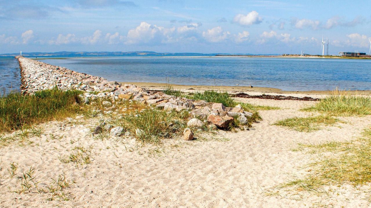 Photo of Others in Øer Strand