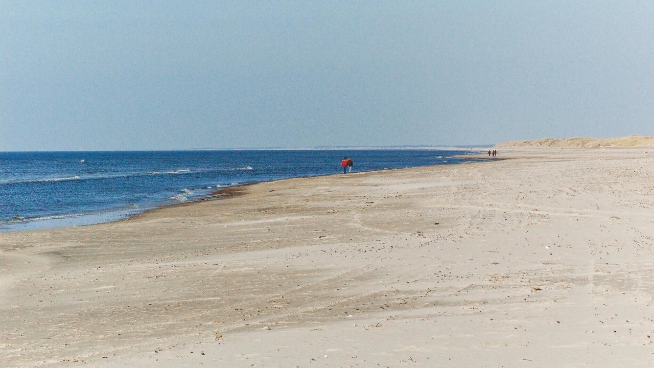 Photo of Others in Tranum