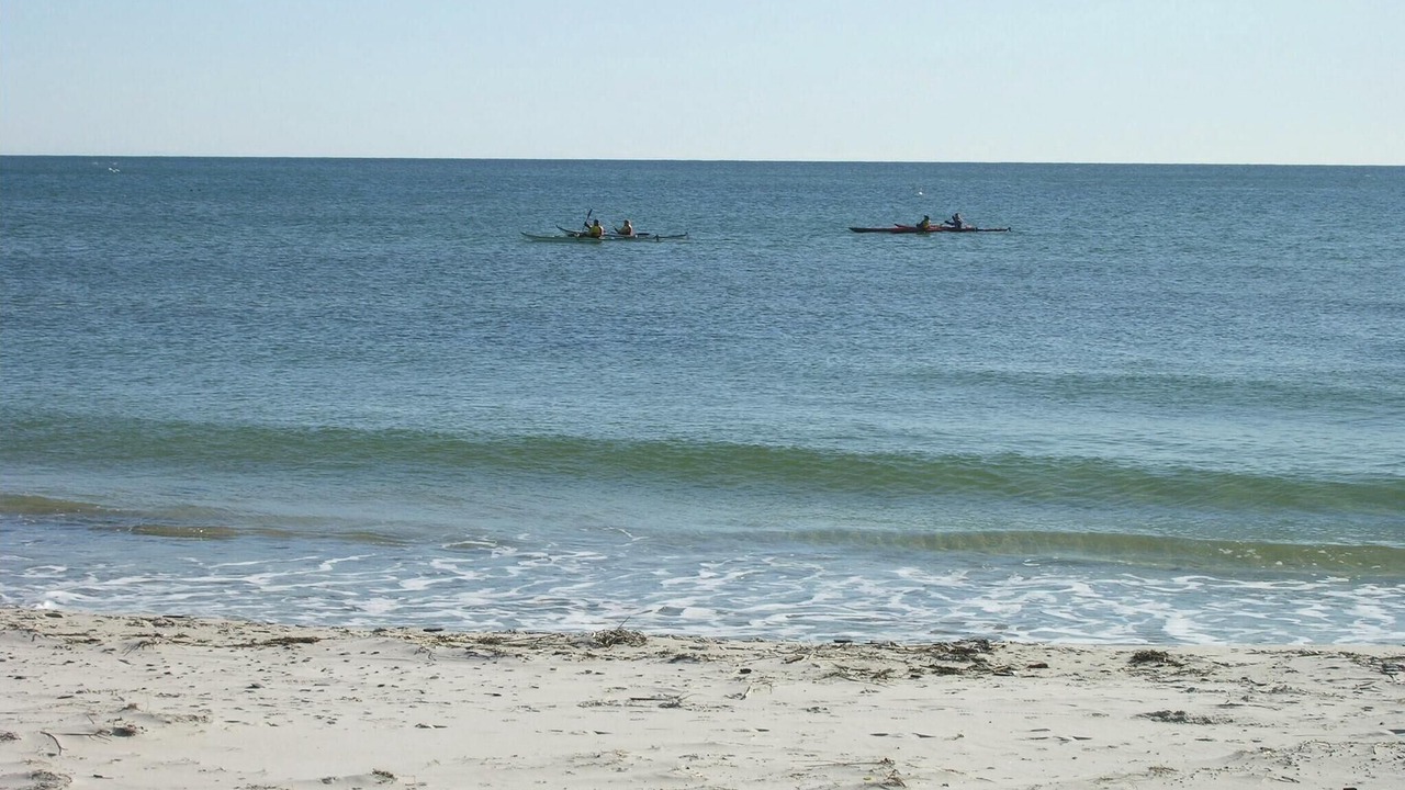 Photo of Others in Spidsegard