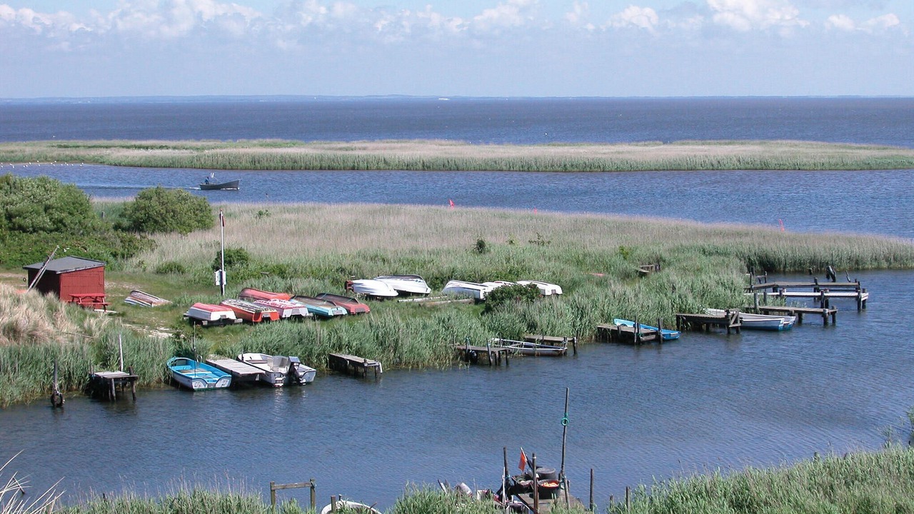 Photo of Others in Argab