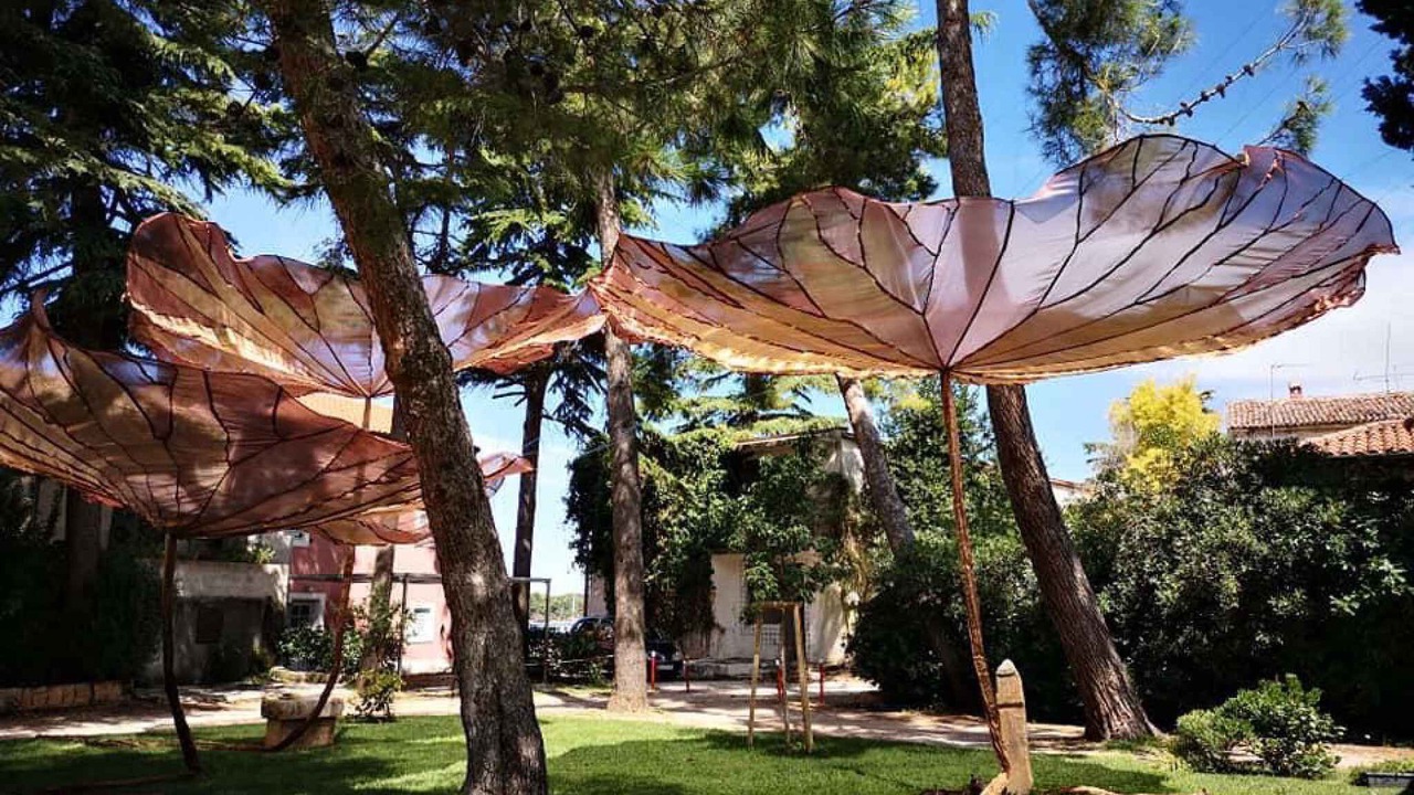 Photo of Outdoor in Island Dugi Otok