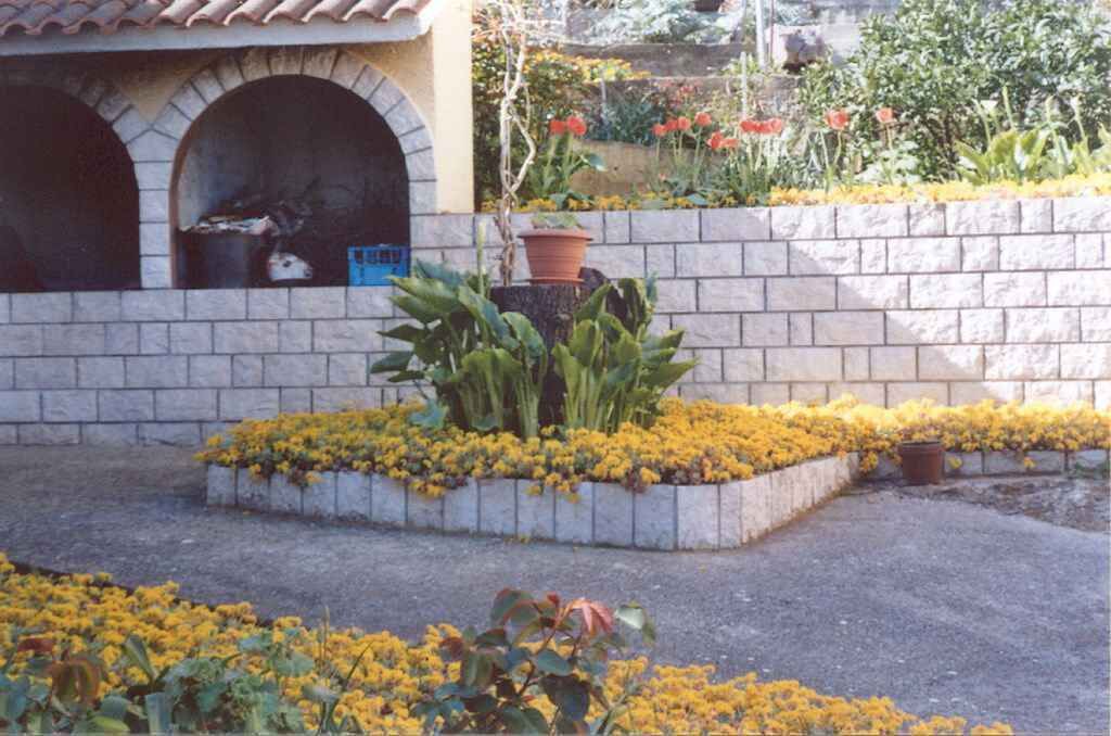 Photo of Others in Island Dugi Otok