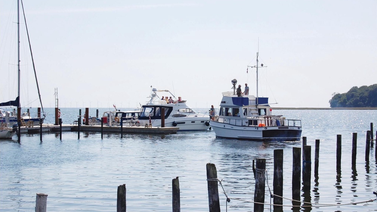 Photo of Others in Nysted