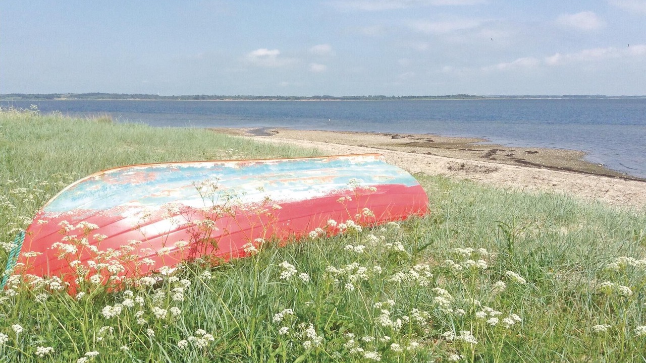 Photo of Others in Ronbjerg