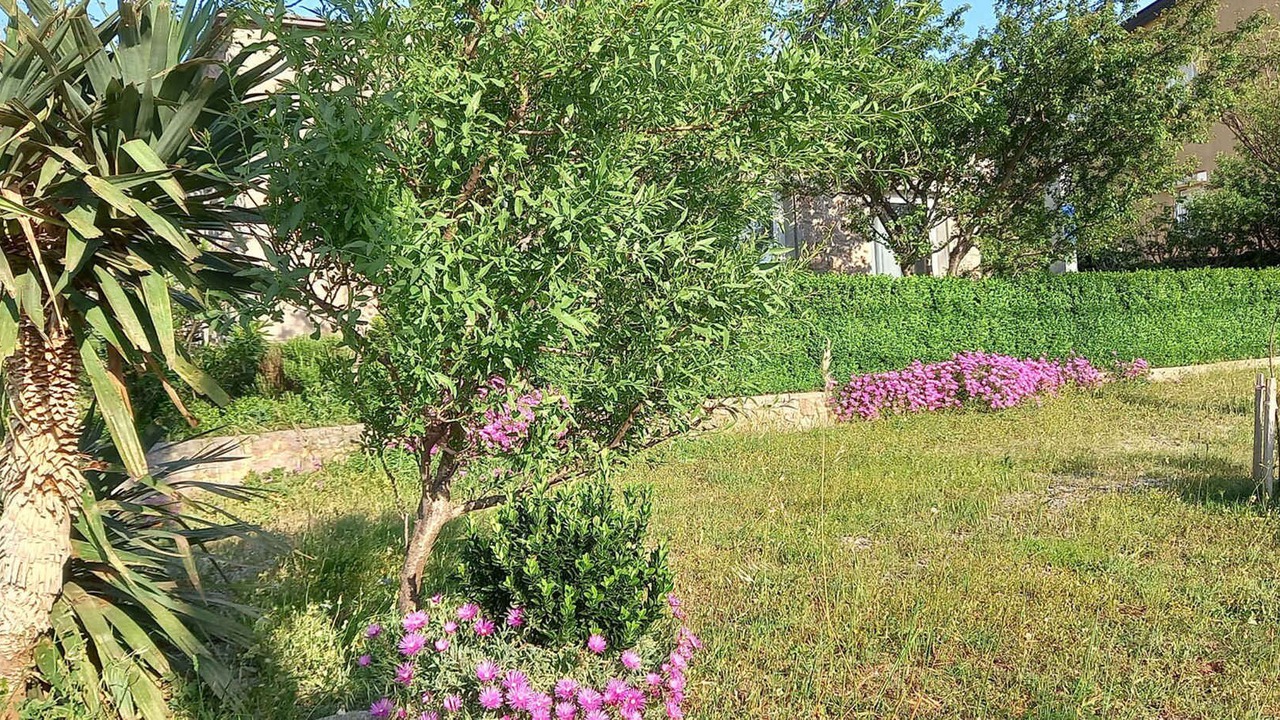 Photo of Outdoor in Cesarica