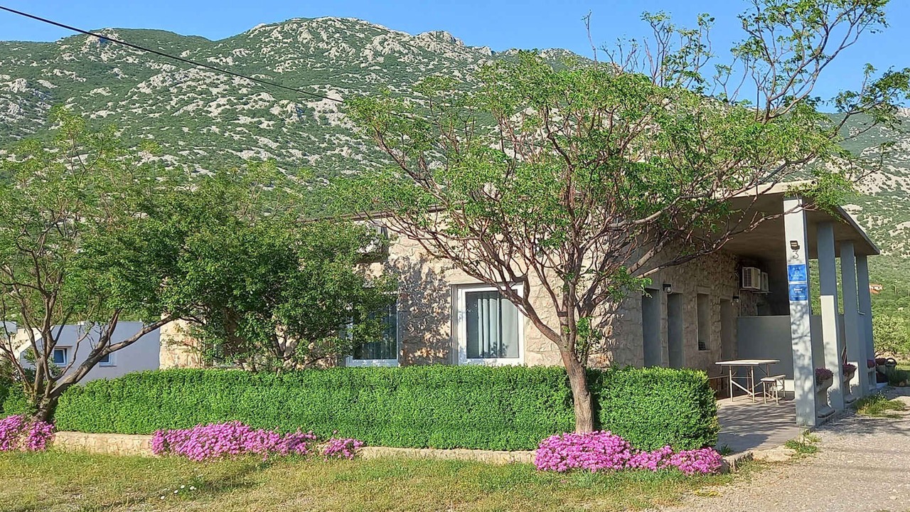 Photo of Outdoor in Cesarica
