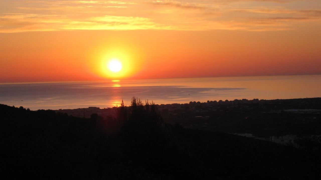 Photo of Others in Oliva