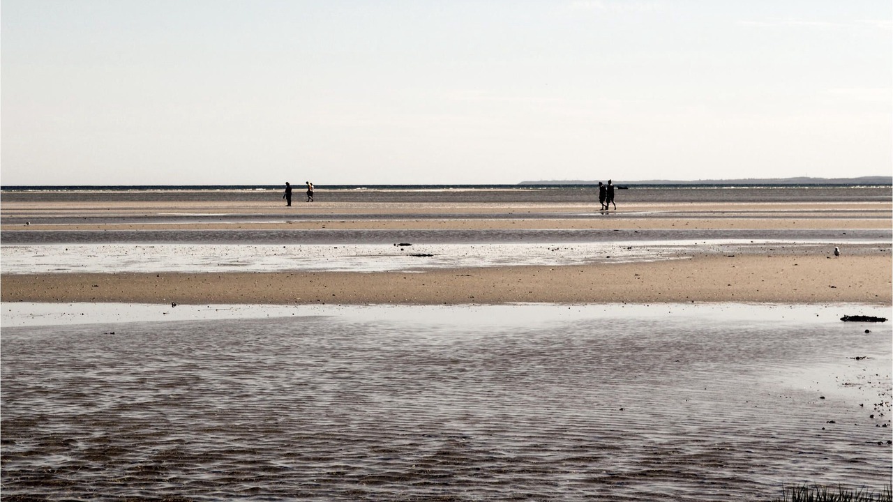 Photo of Others in Ørsted