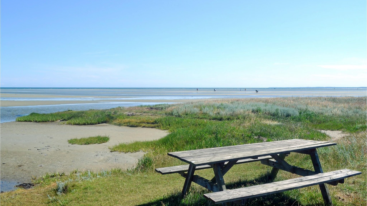 Photo of Others in Ørsted