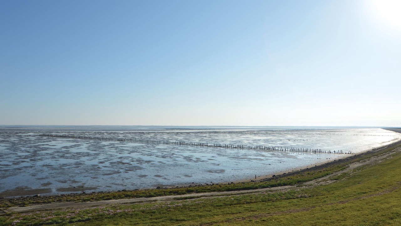Photo of Others in Sønderstrand
