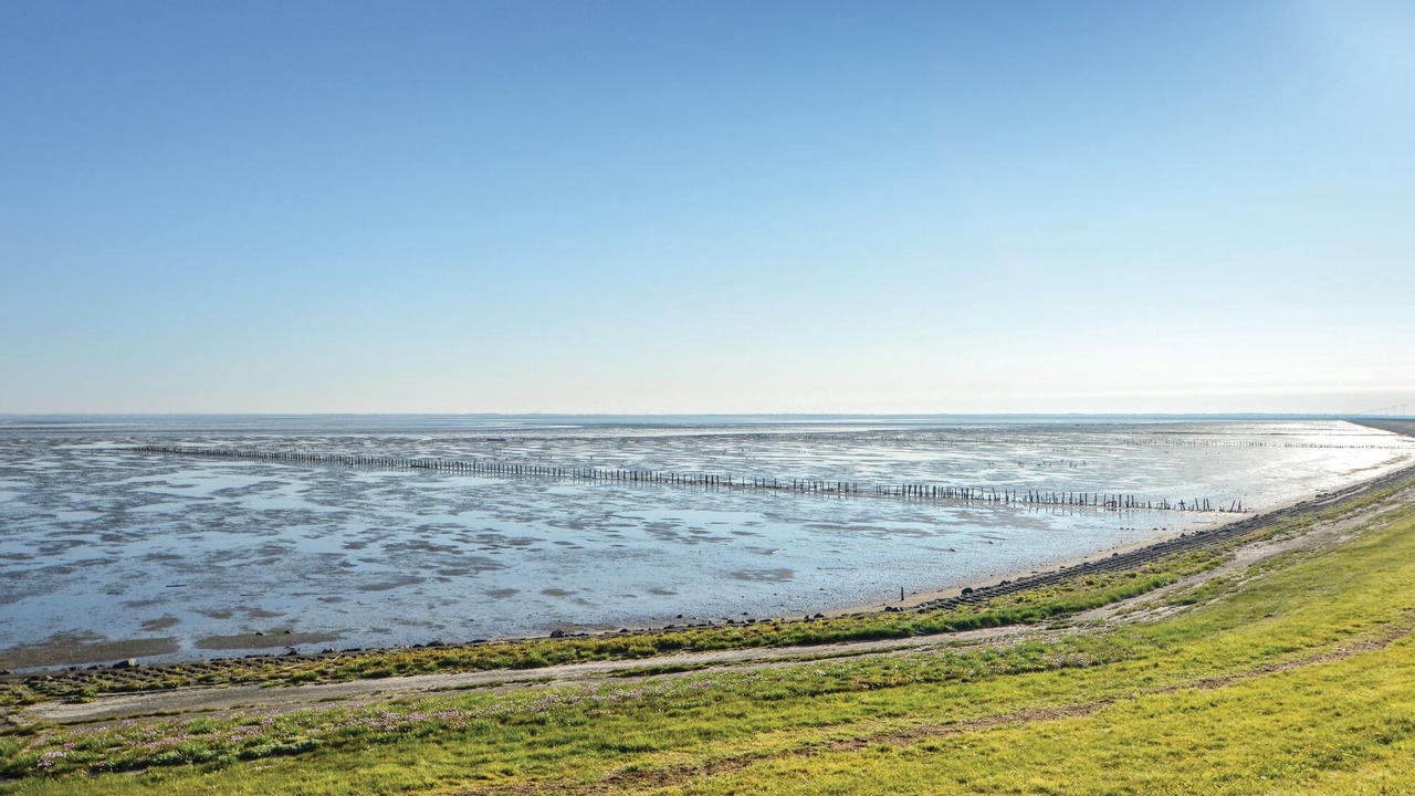 Photo of Others in Lakolk