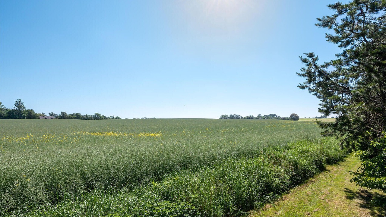 Photo of Others in Udsholt