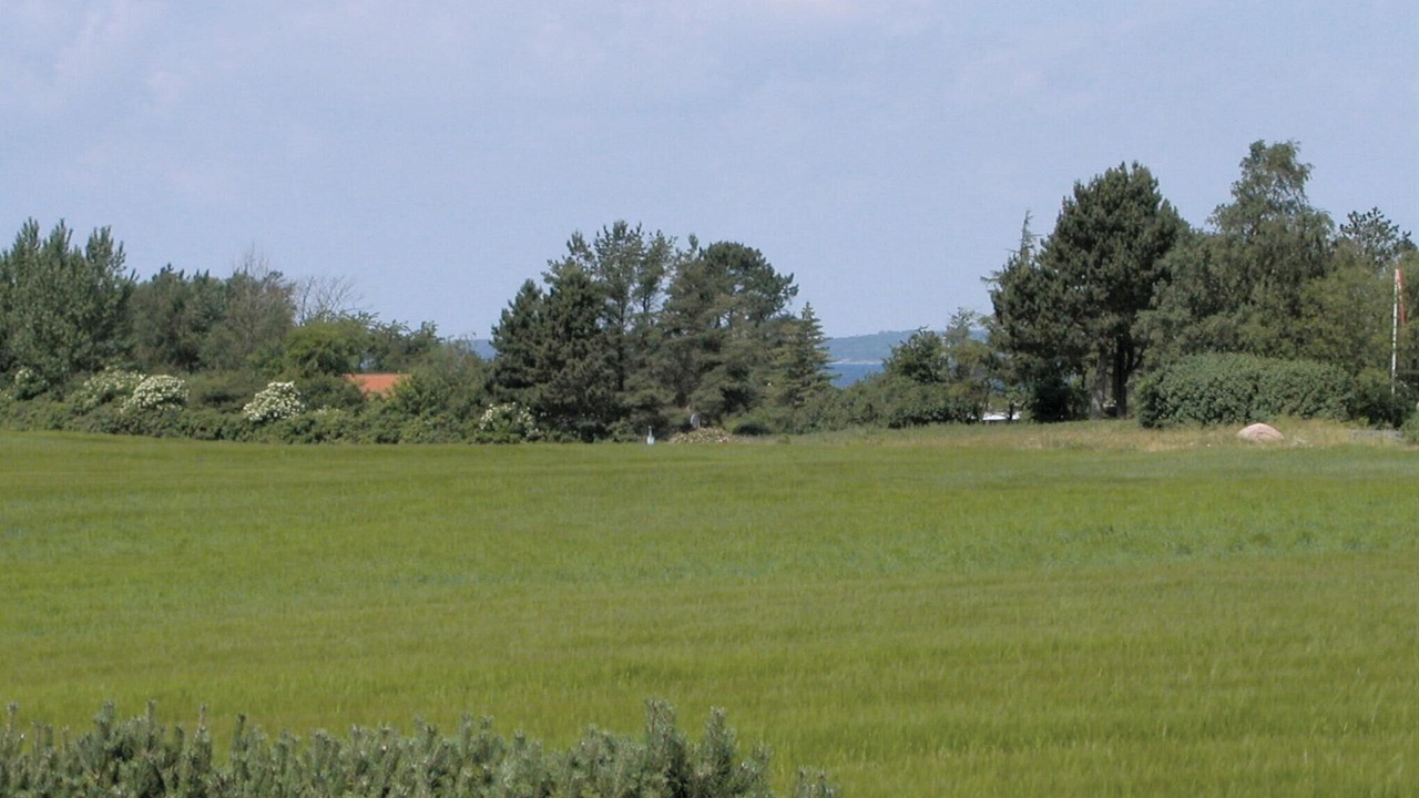 Photo of Others in Faldsled