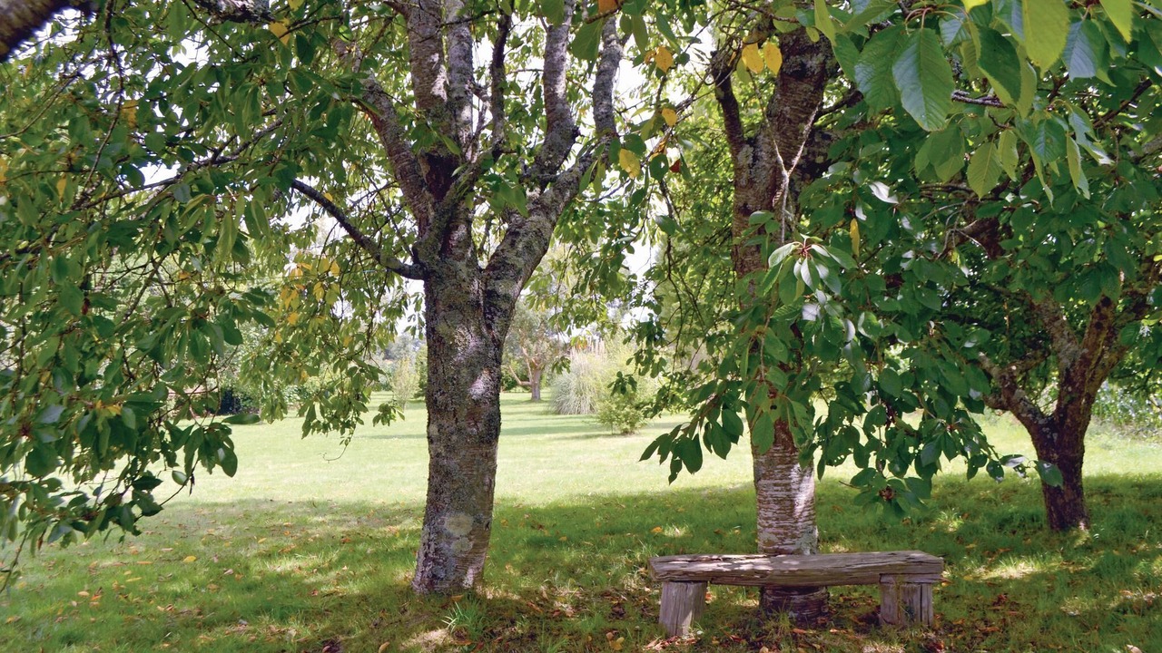 Photo of Outdoor in Tregunc
