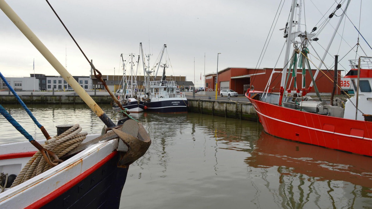 Photo of Others in Lakolk